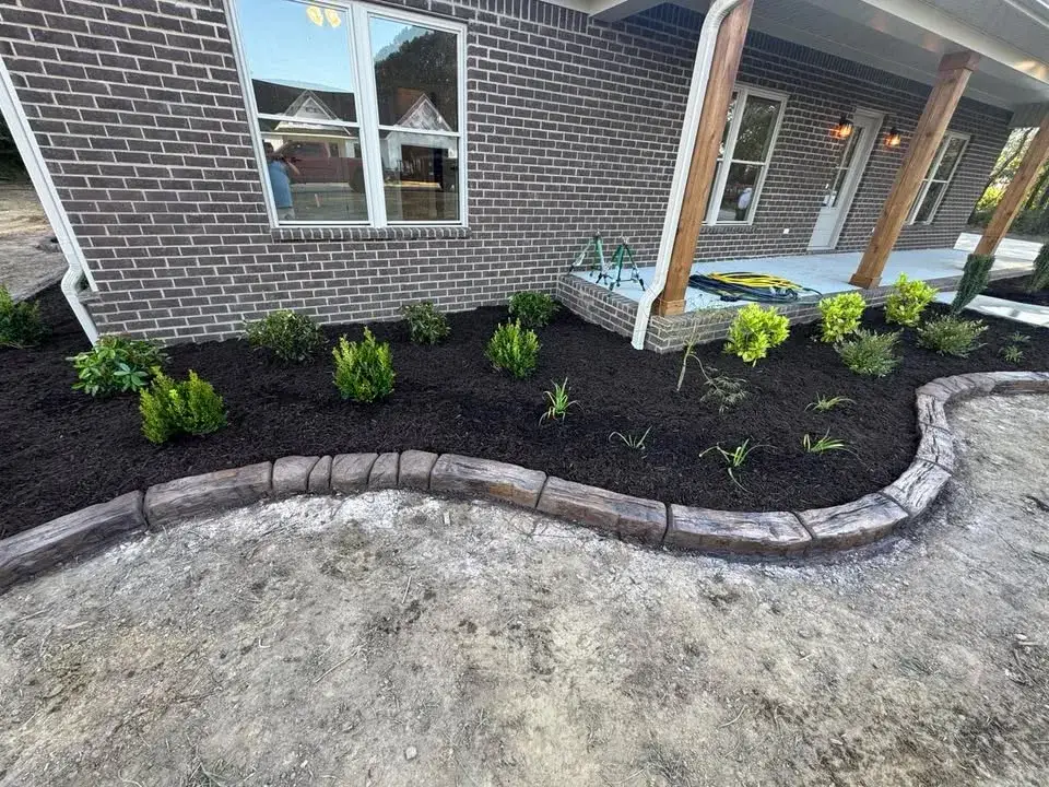 Finished bed and lawn transition shaped with continuous edging.