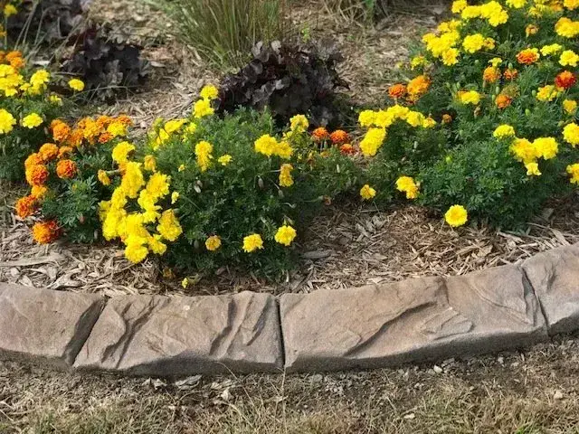 Natural Stone decorative concrete curbing pattern